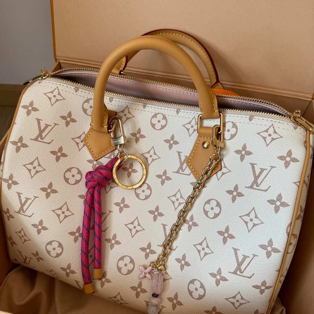 LOUIS VUITTON MITTELGROSSE HANDTASCHE