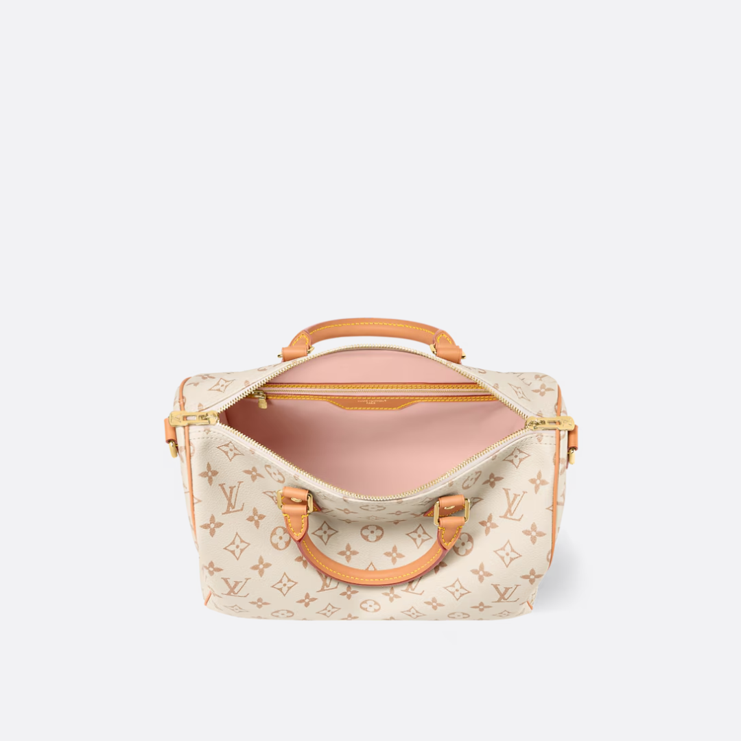LOUIS VUITTON MITTELGROSSE HANDTASCHE