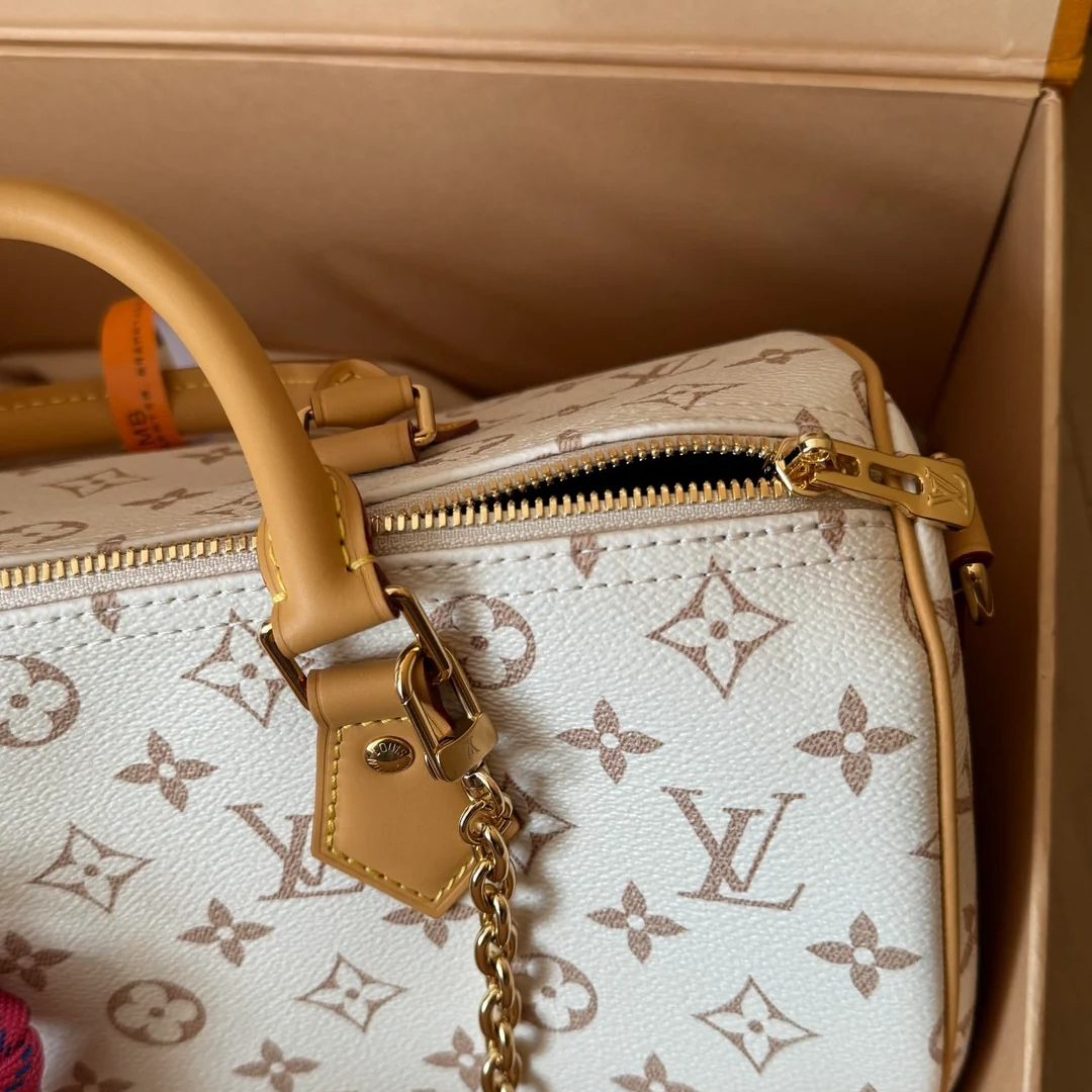 LOUIS VUITTON MITTELGROSSE HANDTASCHE