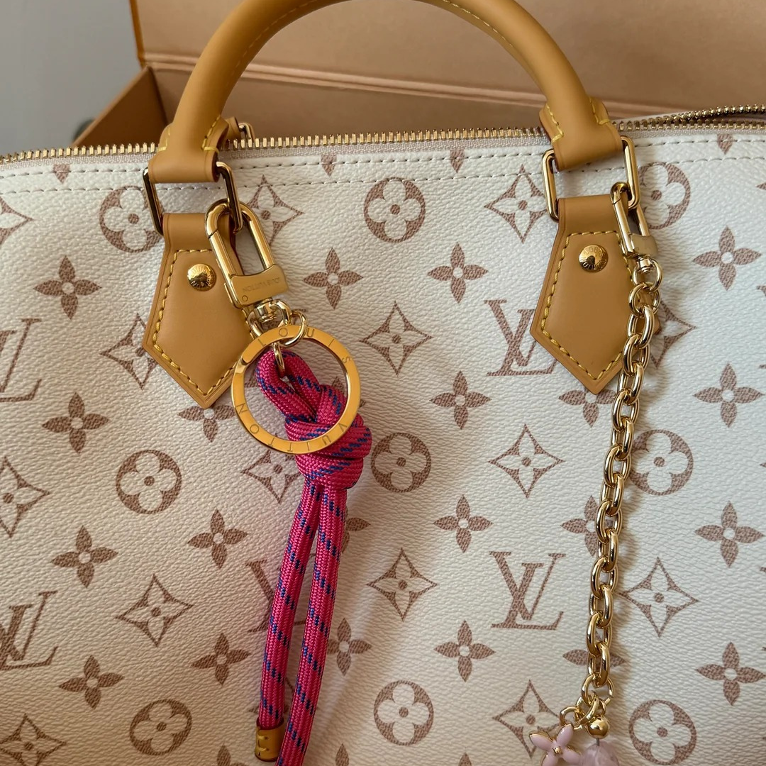 LOUIS VUITTON MITTELGROSSE HANDTASCHE