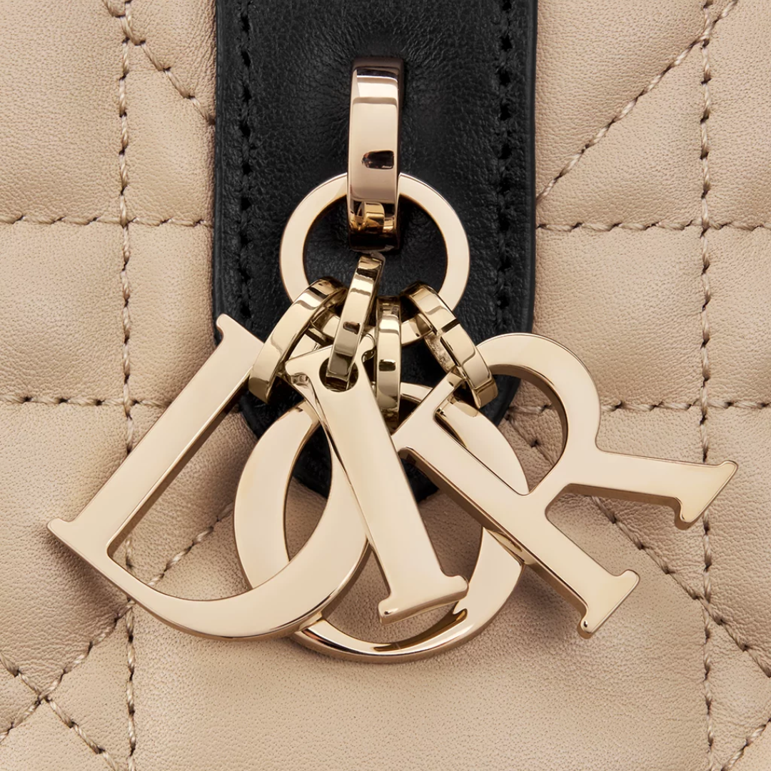 DIOR TOUJOURS SMALL TASCHE