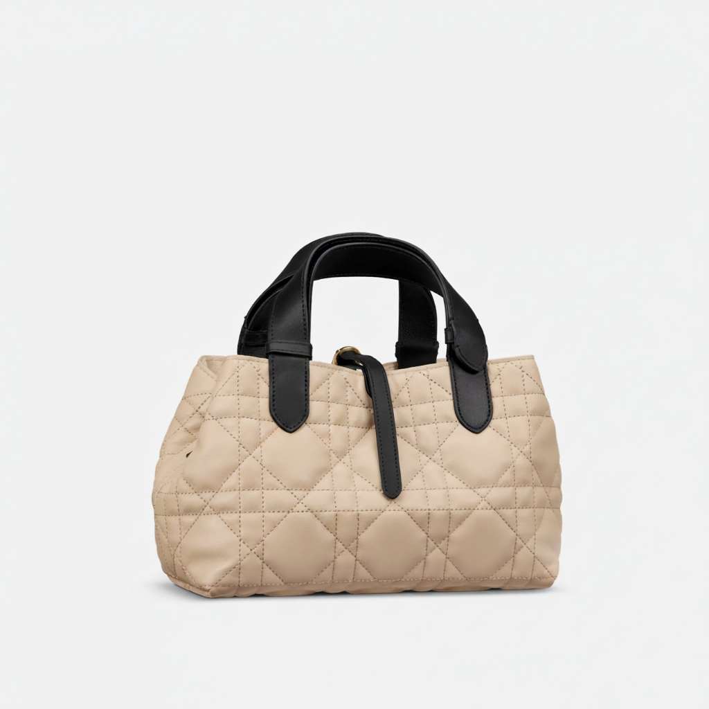 DIOR TOUJOURS SMALL BAG